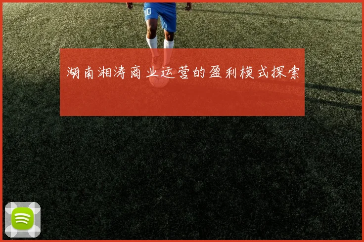 湖南湘涛商业运营的盈利模式探索