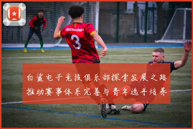 白鲨电子竞技俱乐部探索发展之路推动赛事体系完善与青年选手培养